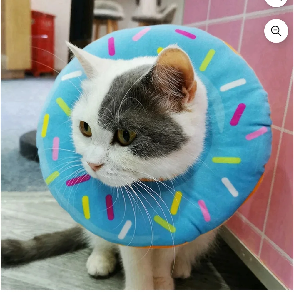 NWOT Colorful Donut Neck Color